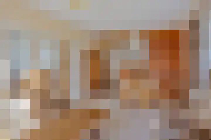 Lensheuvel 19 Reusel thumbnail 11
