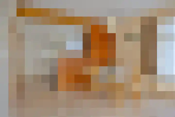 Lensheuvel 19 Reusel thumbnail 12