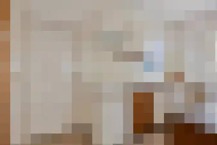 Lensheuvel 19 Reusel thumbnail 13