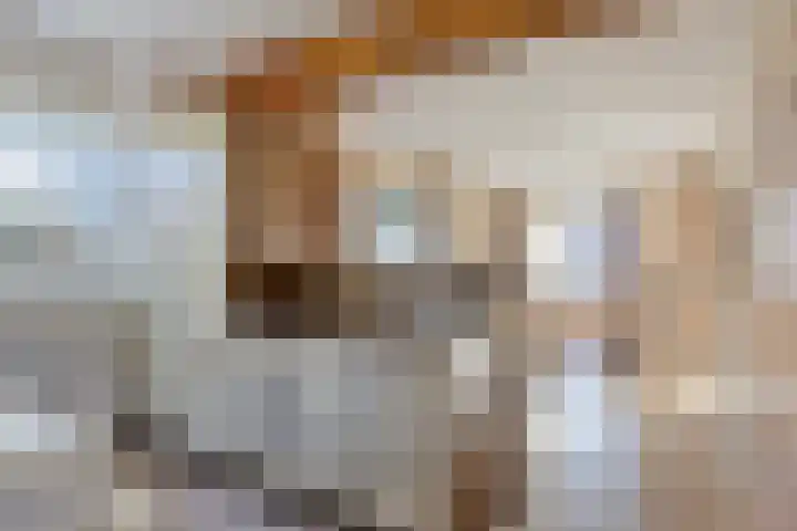 Lensheuvel 19 Reusel thumbnail 14