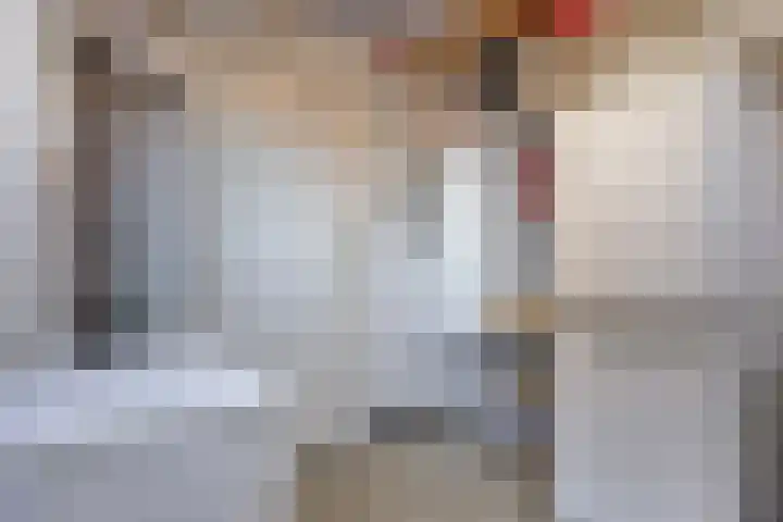 Lensheuvel 19 Reusel thumbnail 19