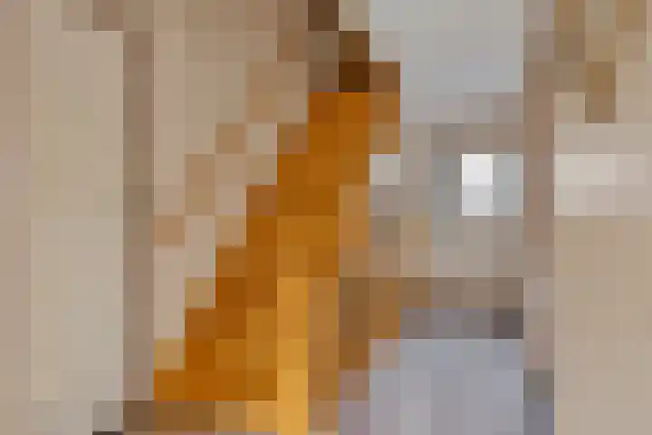 Lensheuvel 19 Reusel thumbnail 20