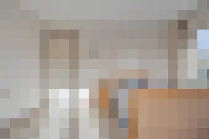 Lensheuvel 19 Reusel thumbnail 21