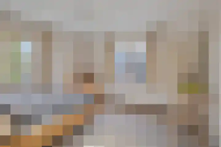 Lensheuvel 19 Reusel thumbnail 22