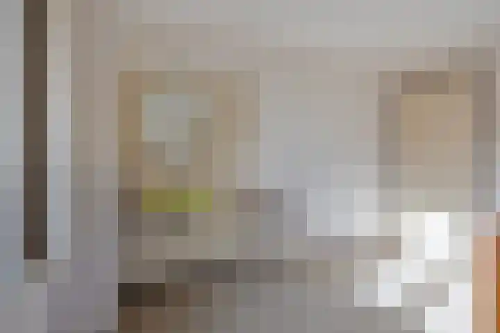 Lensheuvel 19 Reusel thumbnail 23
