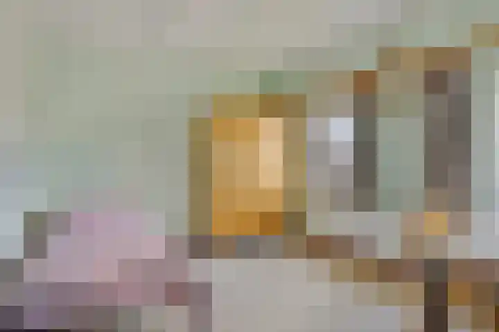 Lensheuvel 19 Reusel thumbnail 24