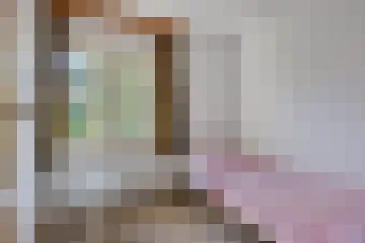 Lensheuvel 19 Reusel thumbnail 25