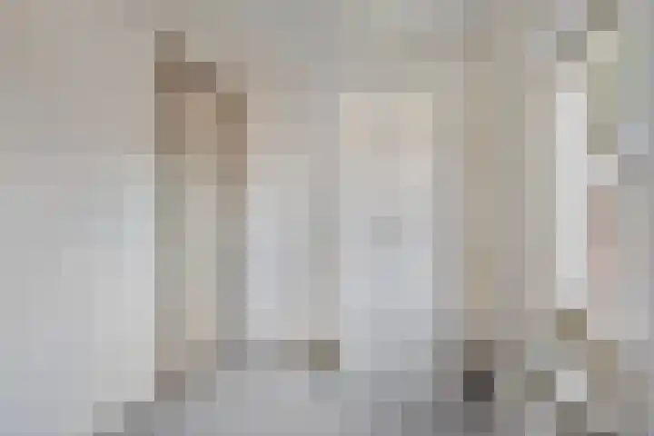 Lensheuvel 19 Reusel thumbnail 26