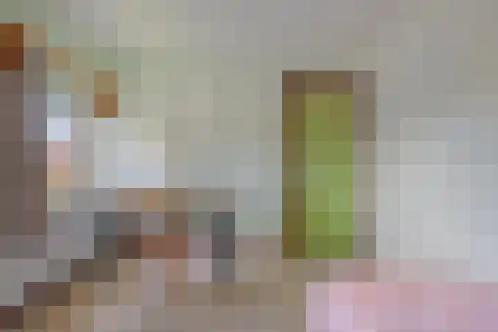 Lensheuvel 19 Reusel thumbnail 29
