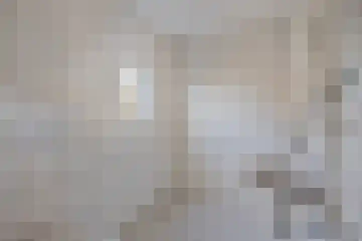 Lensheuvel 19 Reusel thumbnail 30