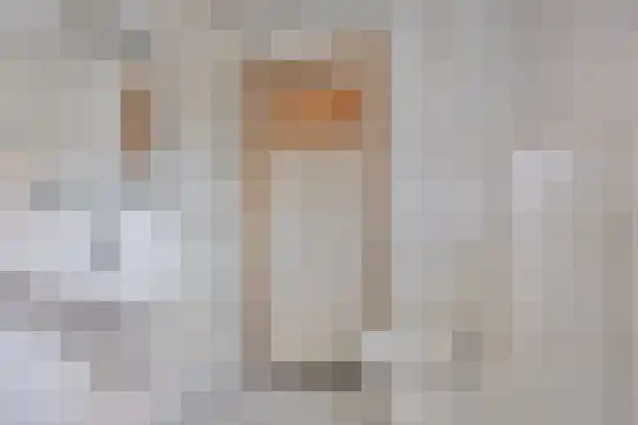 Lensheuvel 19 Reusel thumbnail 31
