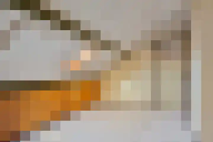 Lensheuvel 19 Reusel thumbnail 32