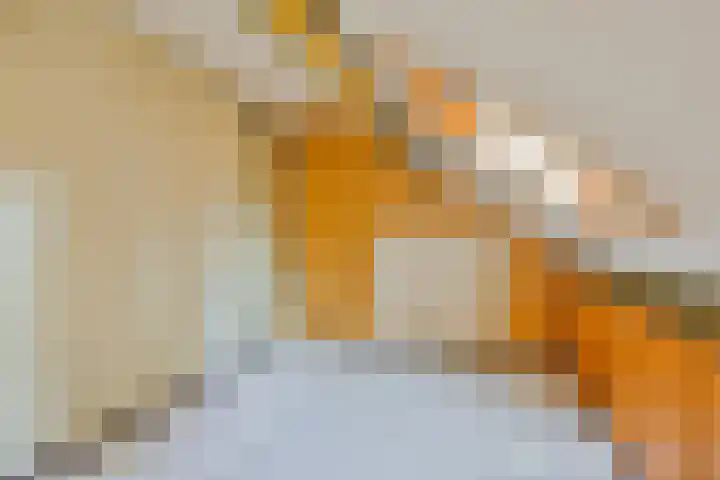 Lensheuvel 19 Reusel thumbnail 33