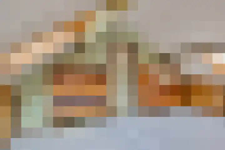 Lensheuvel 19 Reusel thumbnail 36
