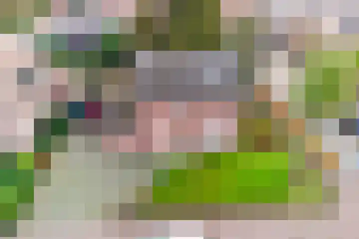 Lensheuvel 19 Reusel thumbnail 37