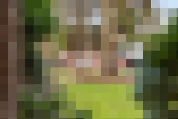 Lensheuvel 19 Reusel thumbnail 38