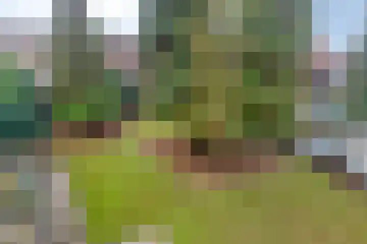 Lensheuvel 19 Reusel thumbnail 39