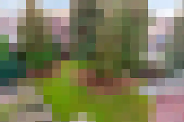 Lensheuvel 19 Reusel thumbnail 40