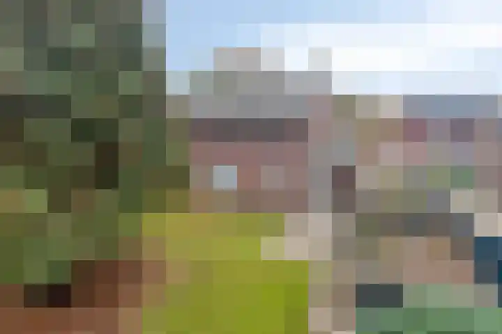 Lensheuvel 19 Reusel thumbnail 41