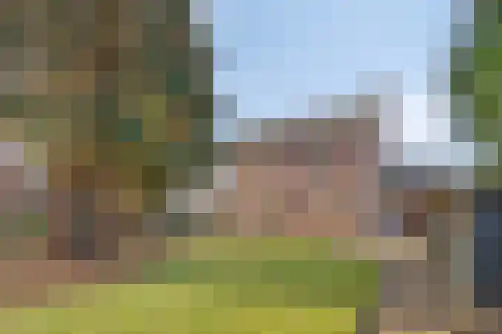 Lensheuvel 19 Reusel thumbnail 42