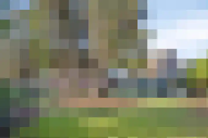 Lensheuvel 19 Reusel thumbnail 43