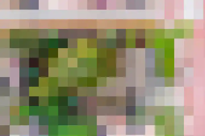 Lensheuvel 19 Reusel thumbnail 44