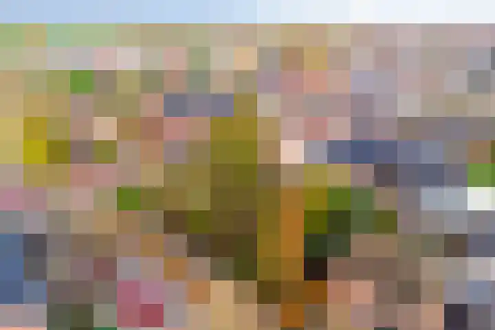 Lensheuvel 19 Reusel thumbnail 45
