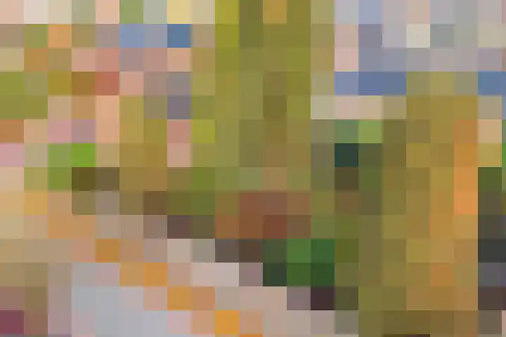 Lensheuvel 19 Reusel thumbnail 46