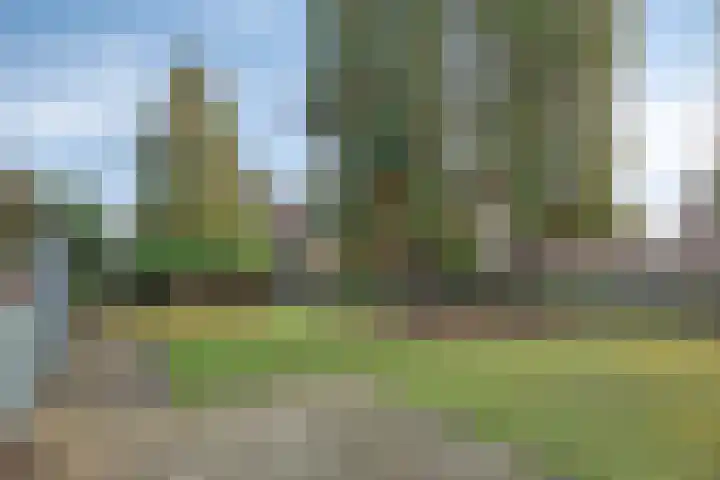Lensheuvel 19 Reusel thumbnail 47