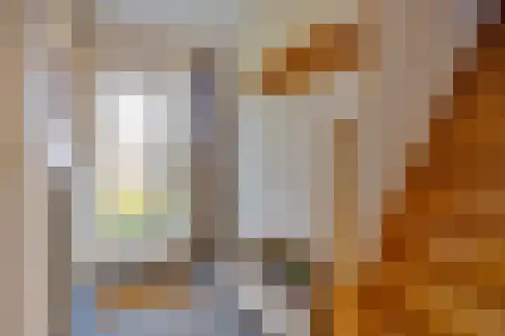Lensheuvel 19 Reusel thumbnail 5