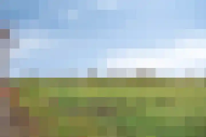 Lensheuvel 19 Reusel thumbnail 52
