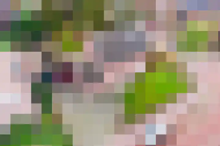 Lensheuvel 19 Reusel thumbnail 54