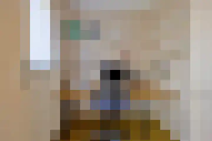 Lensheuvel 19 Reusel thumbnail 6