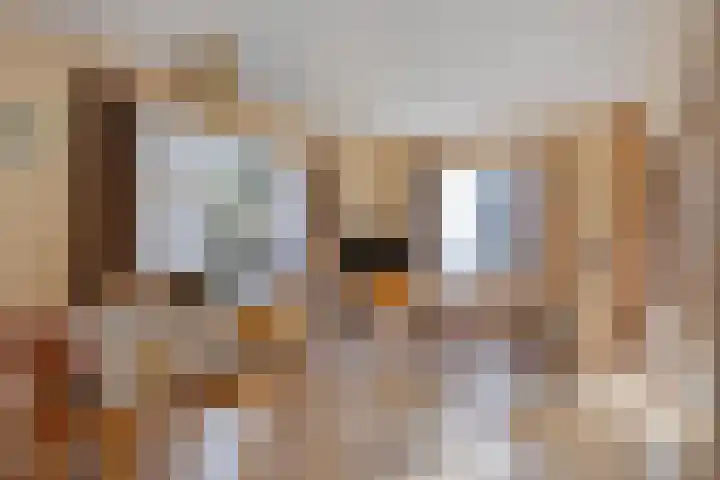 Lensheuvel 19 Reusel thumbnail 7