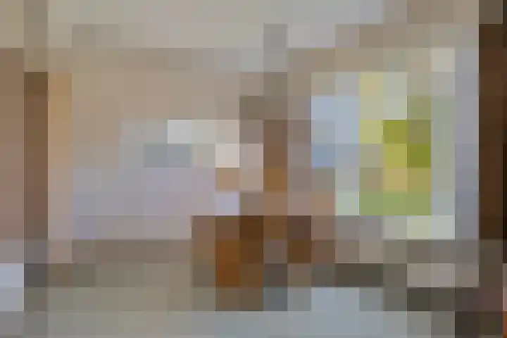 Lensheuvel 19 Reusel thumbnail 8