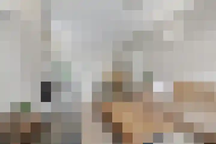 Lensheuvel 29 Reusel thumbnail 11