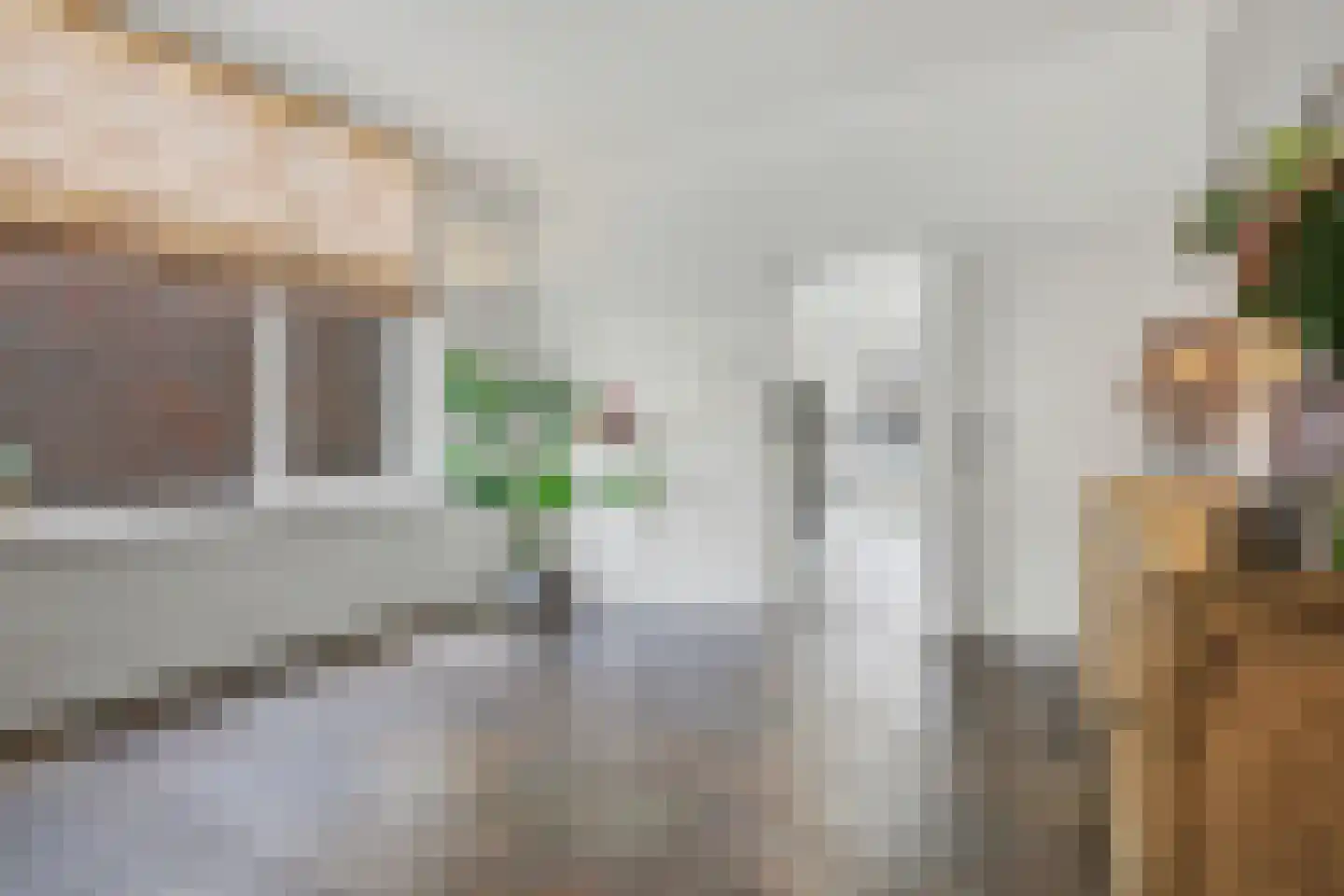 Lensheuvel 29 Reusel thumbnail 13