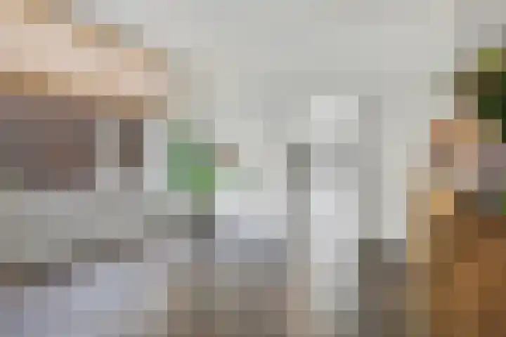 Lensheuvel 29 Reusel thumbnail 13