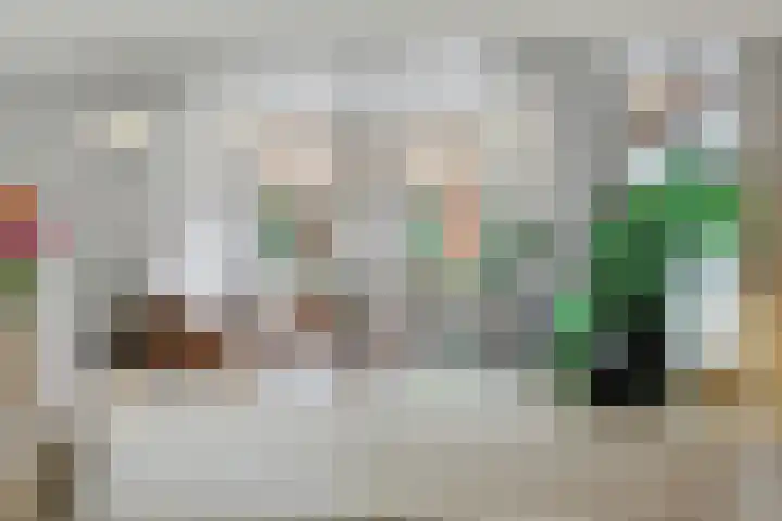 Lensheuvel 29 Reusel thumbnail 15