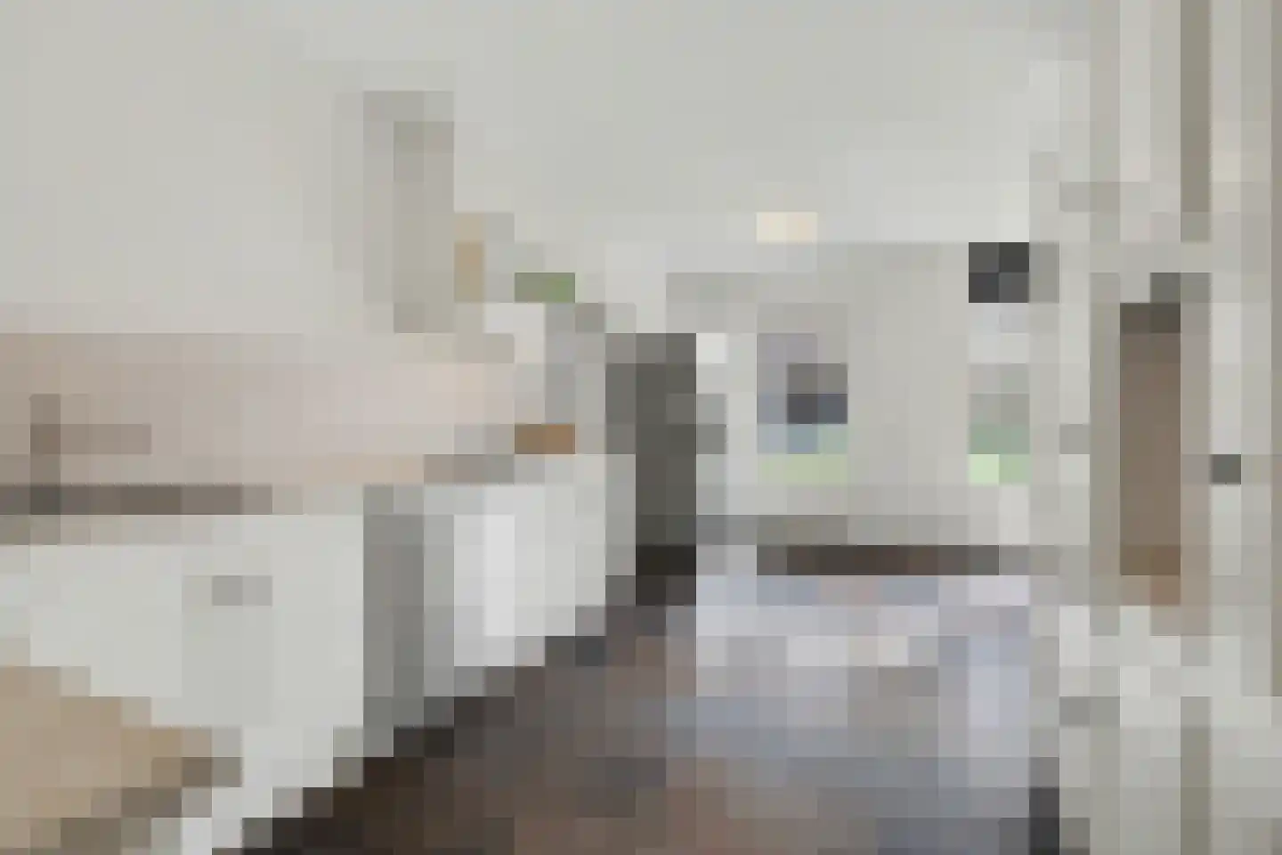Lensheuvel 29 Reusel thumbnail 16