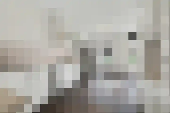 Lensheuvel 29 Reusel thumbnail 16