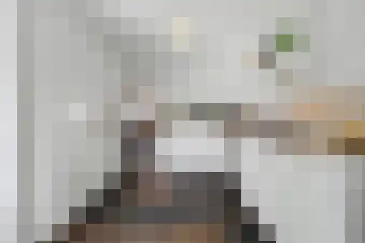 Lensheuvel 29 Reusel thumbnail 19