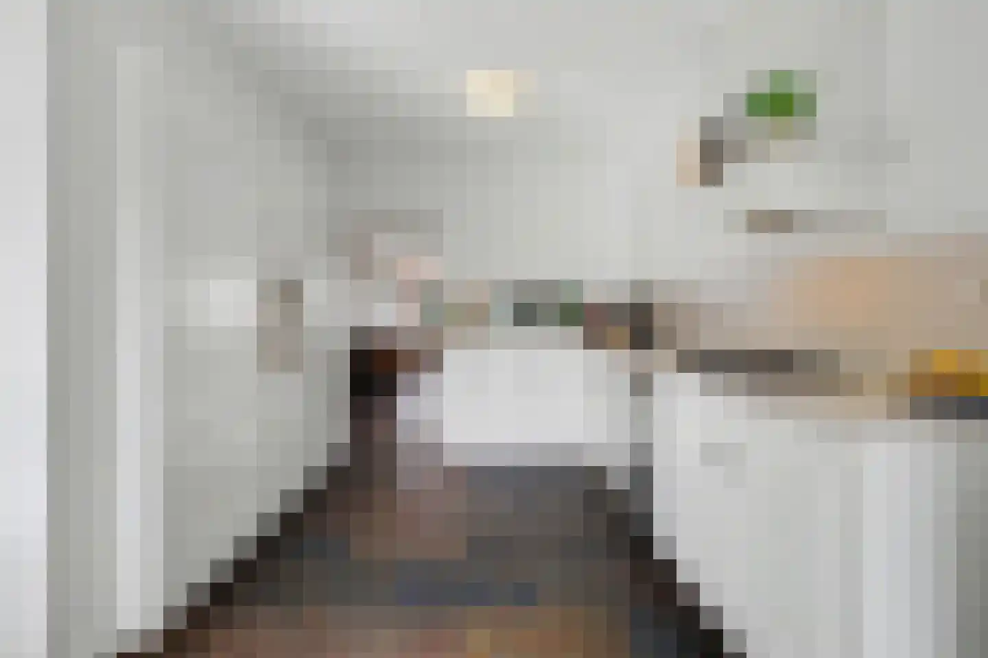 Lensheuvel 29 Reusel thumbnail 19