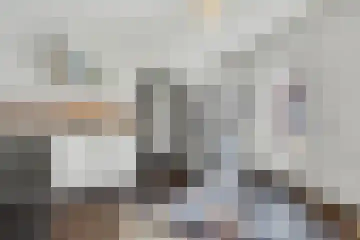 Lensheuvel 29 Reusel thumbnail 21