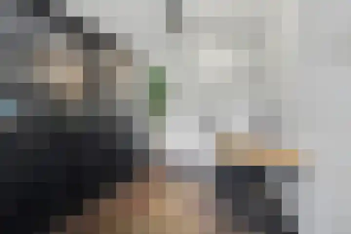 Lensheuvel 29 Reusel thumbnail 27