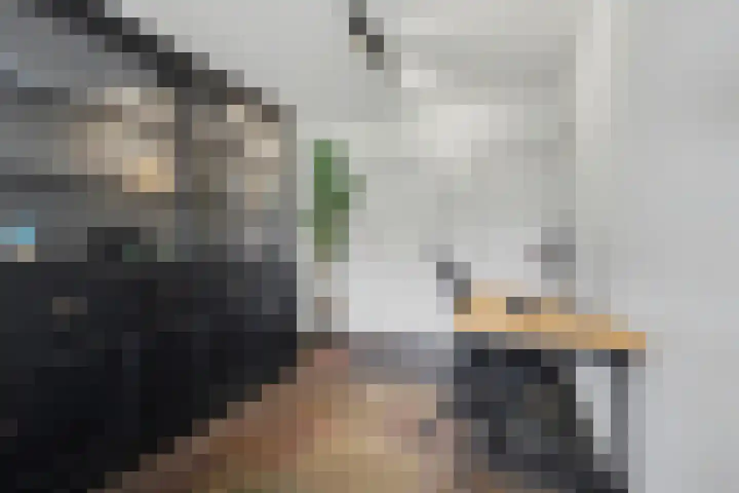 Lensheuvel 29 Reusel thumbnail 27