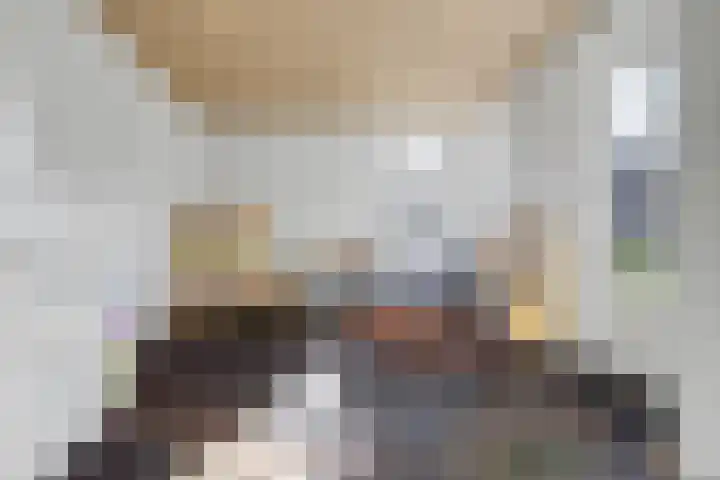 Lensheuvel 29 Reusel thumbnail 32