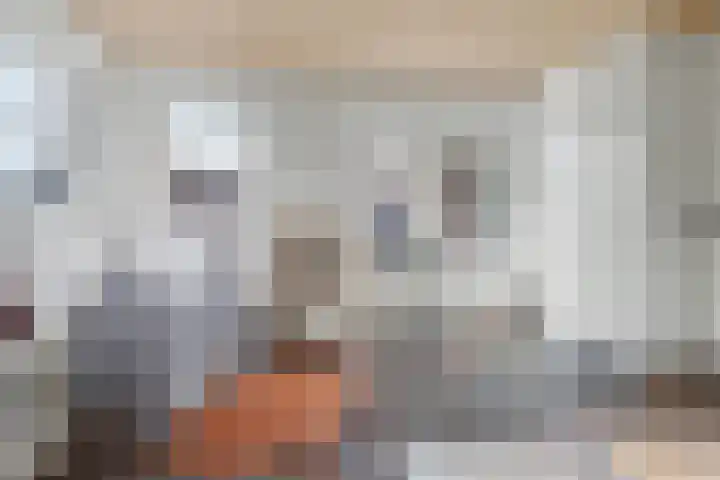 Lensheuvel 29 Reusel thumbnail 33
