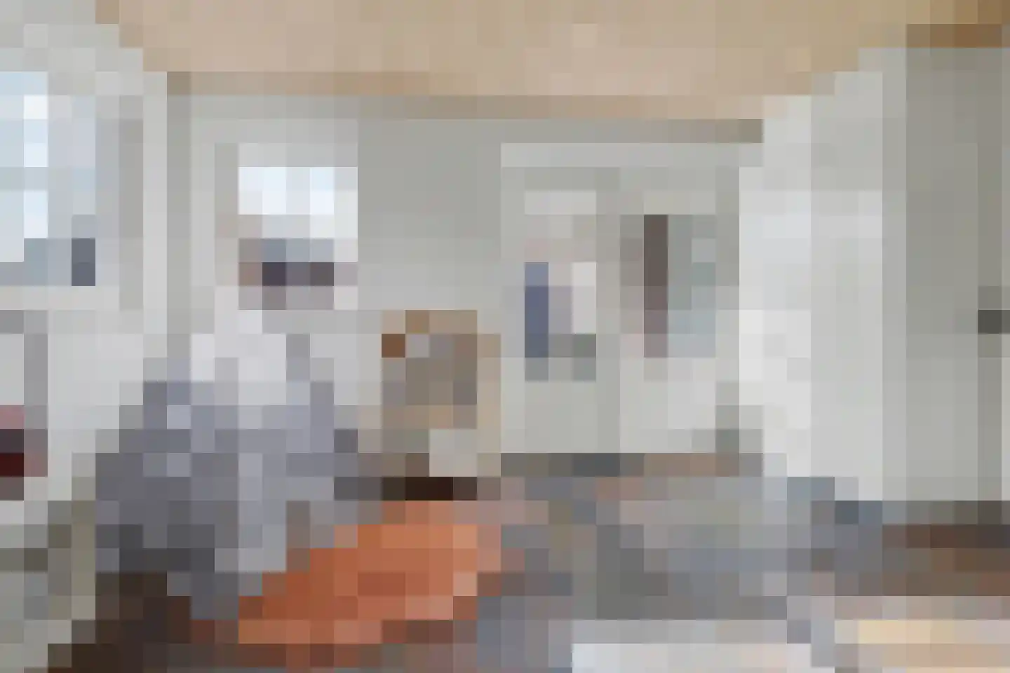 Lensheuvel 29 Reusel thumbnail 33