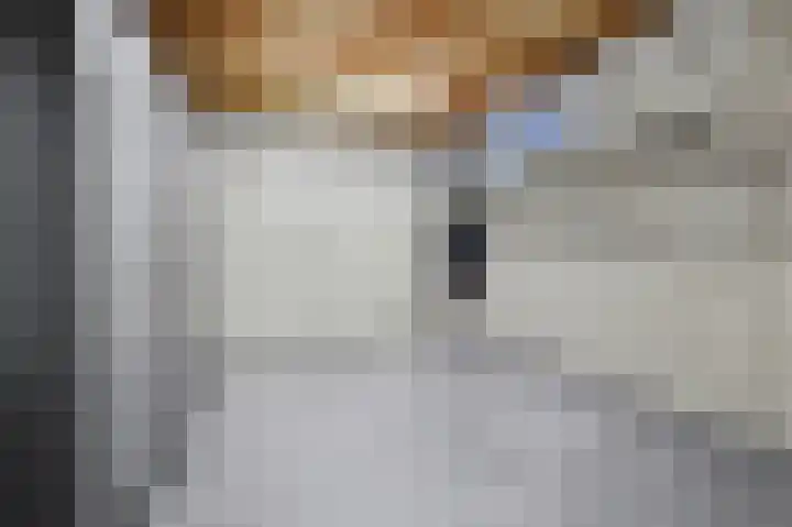 Lensheuvel 29 Reusel thumbnail 34